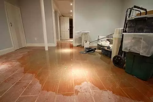Water damage in Tampa home basement